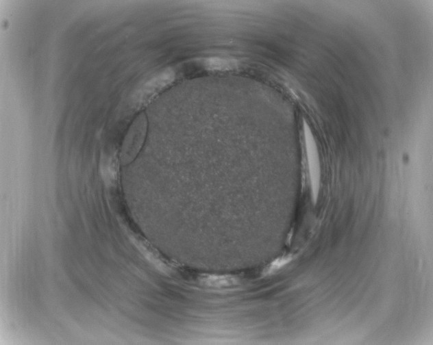 X0000087520277200705112014