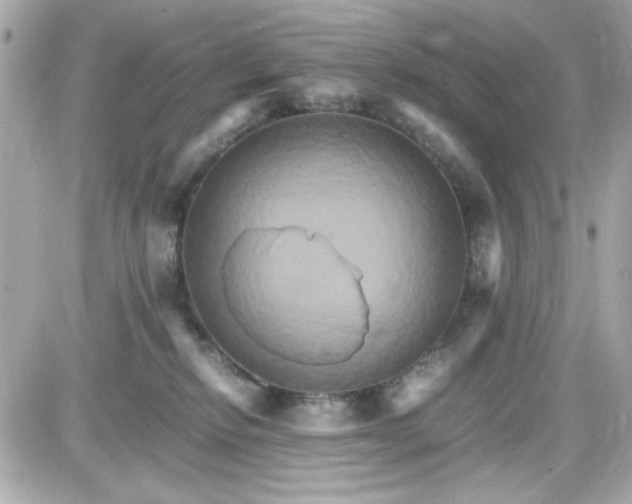 X0000087520278200705112014