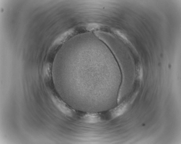 X0000087520280200705112014