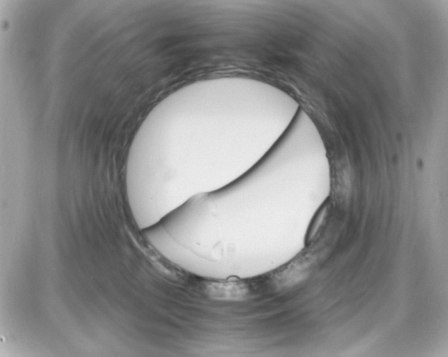 X0000087520281200705112014