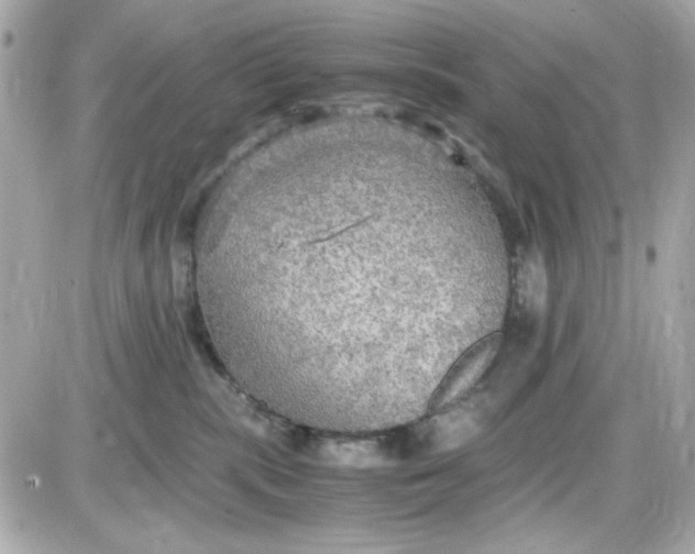 X0000087520283200705112014