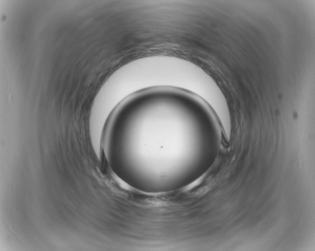 X0000087520284200705112014