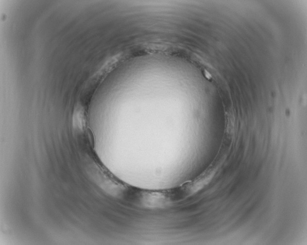 X0000087520287200705112014