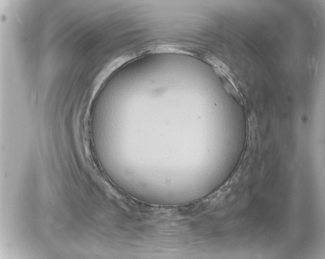 X0000087520289200705112013