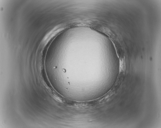 X0000087520291200705112013