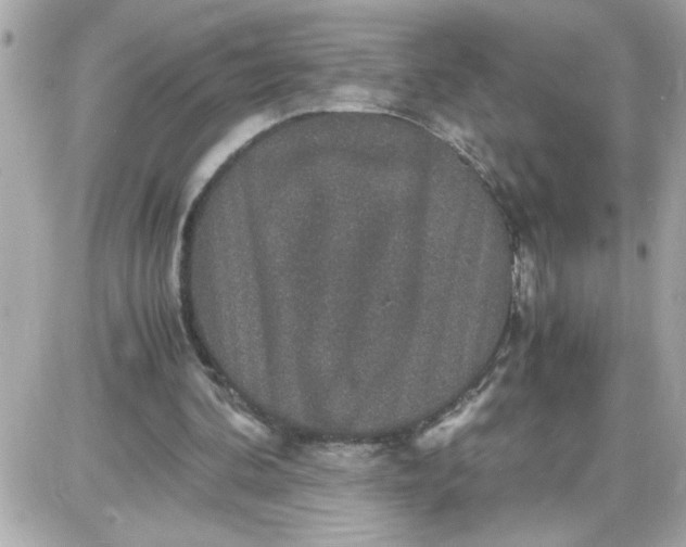 X0000087520292200705112013