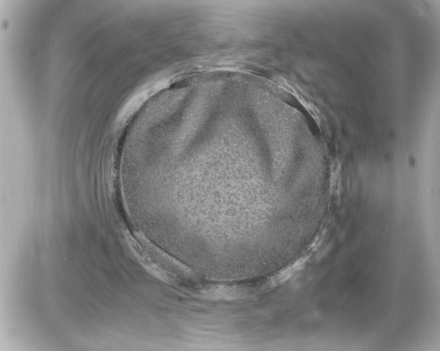 X0000087520293200705112013