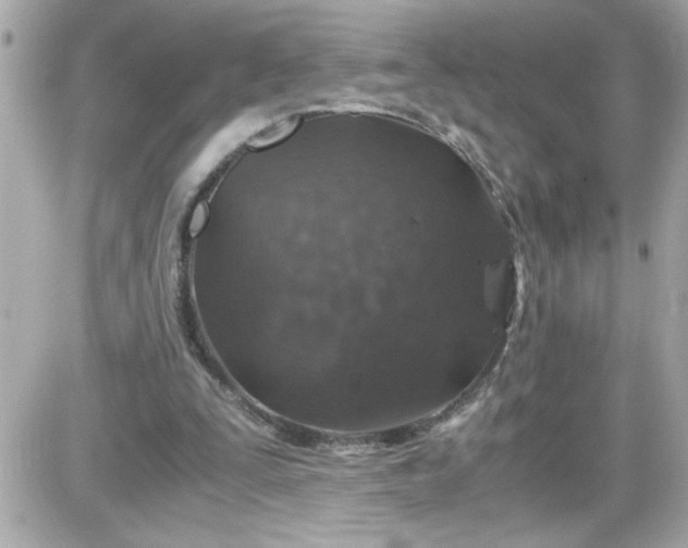 X0000087520295200705112013