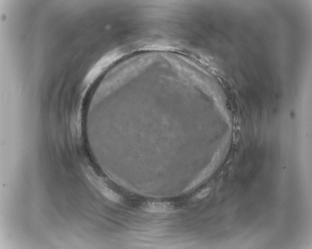 X0000087520296200705112013