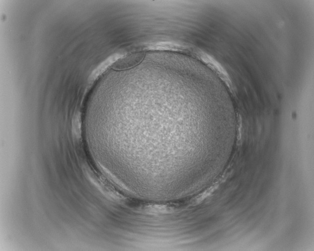 X0000087520298200705112013