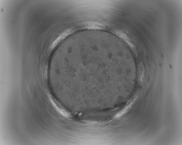 X0000087520299200705112013