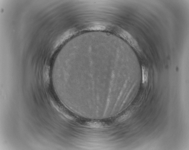 X0000087520300200705112013