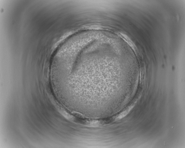 X0000087520301200705112013