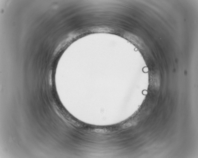 X0000087520302200705112013