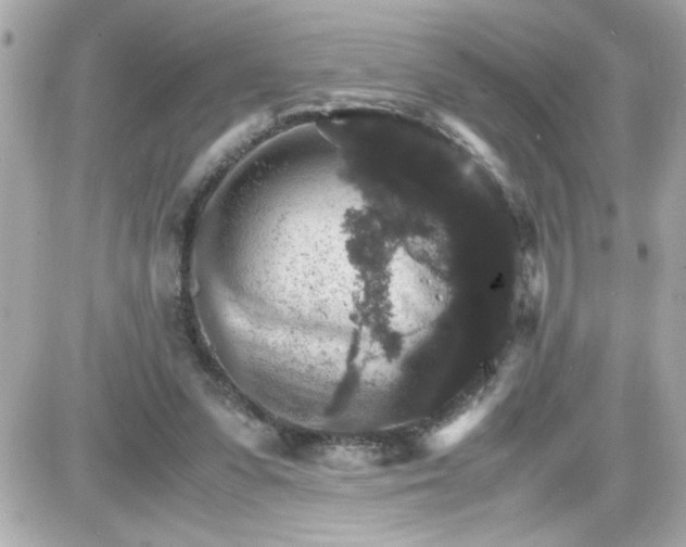 X0000087520303200705112013