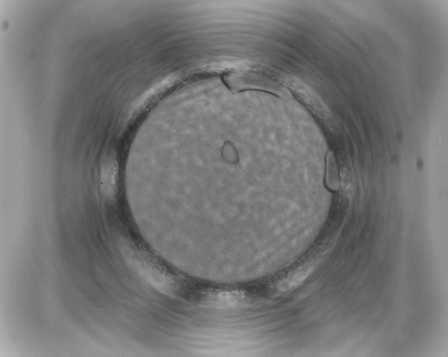 X0000087520304200705112013