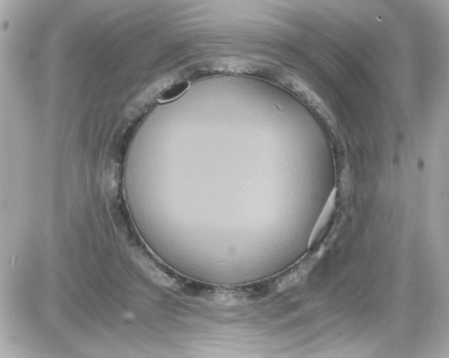 X0000087520305200705112013