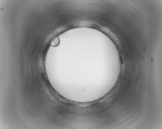 X0000087520306200705112013