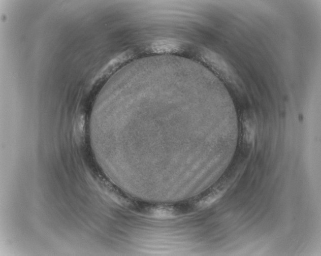 X0000087520308200705112013