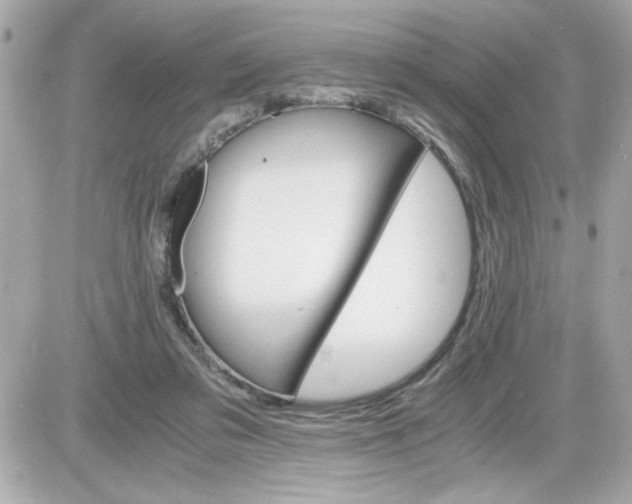 X0000087520309200705112013