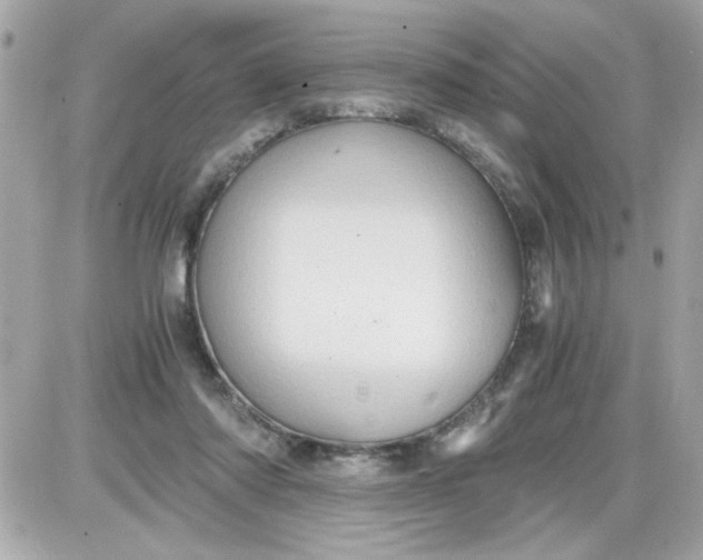 X0000087520310200705112013