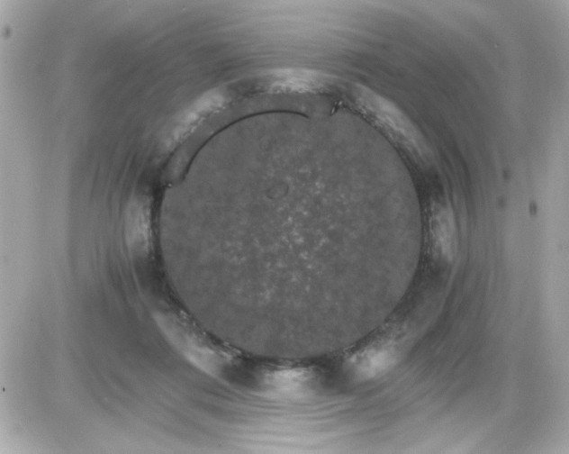 X0000087520312200705112013