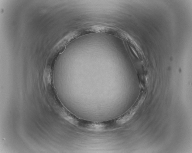 X0000087520313200705112013