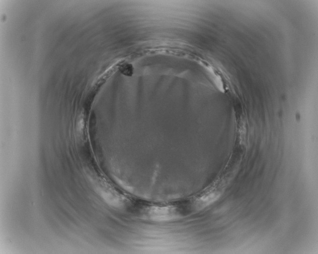 X0000087520314200705112013