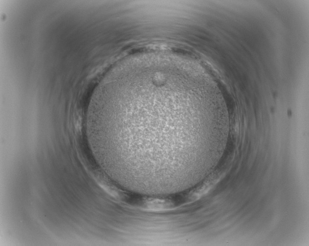 X0000087520315200705112013