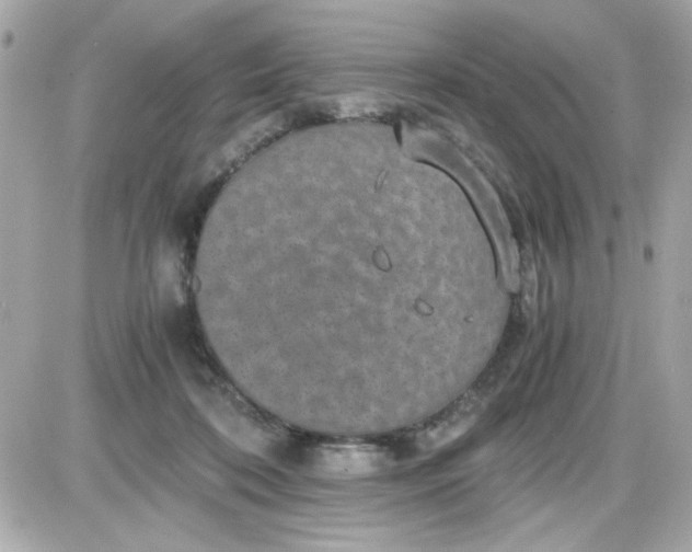 X0000087520316200705112013