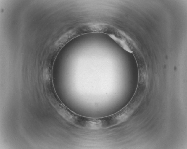 X0000087520317200705112013