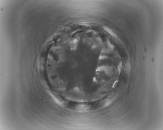 X0000087520319200705112013