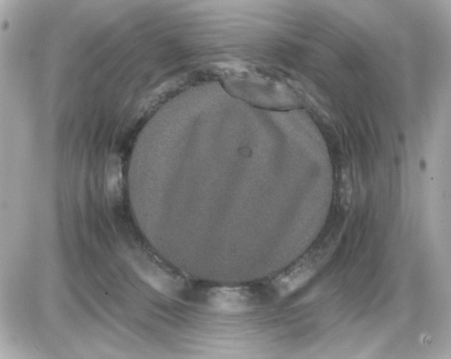 X0000087520320200705112013