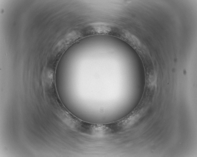 X0000087520321200705112013