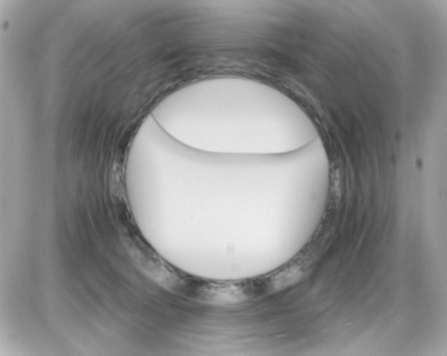 X0000087520322200705112013