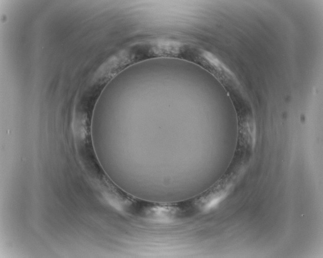 X0000087520323200705112013