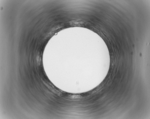 X0000087520324200705112013