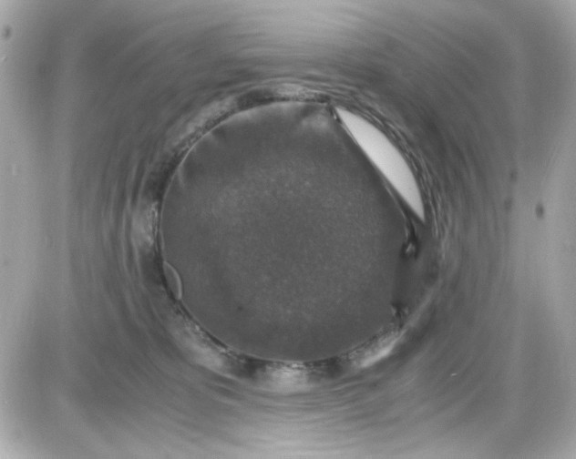 X0000087520325200705112013