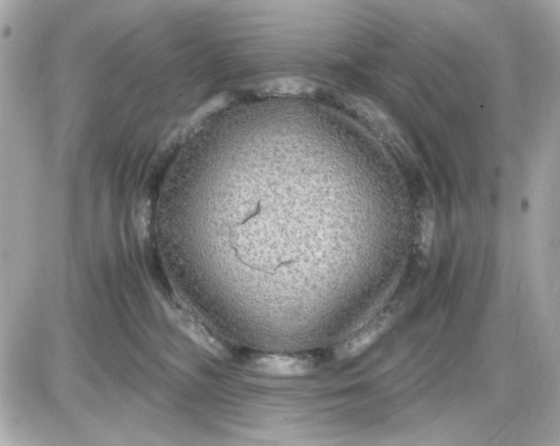 X0000087520326200705112012