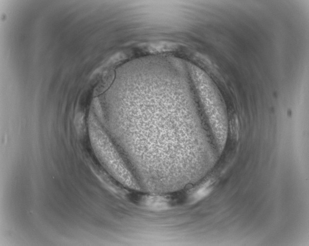 X0000087520327200705112012