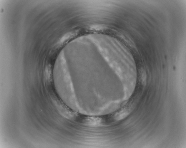 X0000087520328200705112012