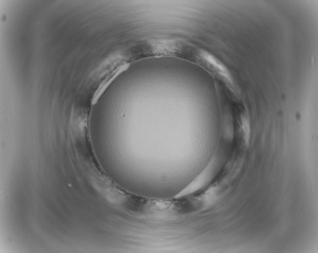 X0000087520329200705112012