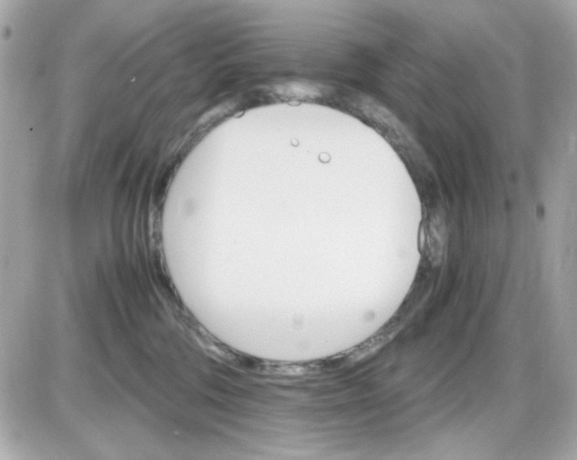 X0000087520330200705112012