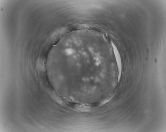 X0000087520331200705112012