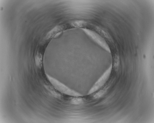 X0000087520332200705112012