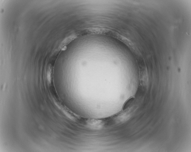 X0000087520334200705112012