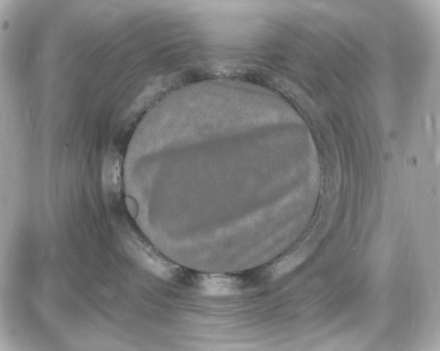 X0000087520336200705112012