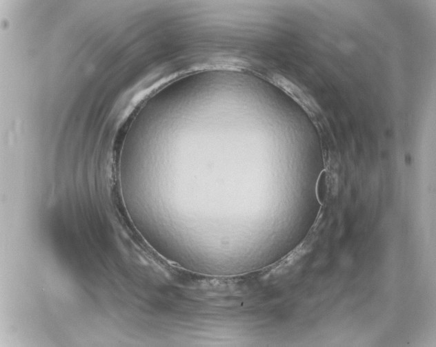 X0000087520338200705112012