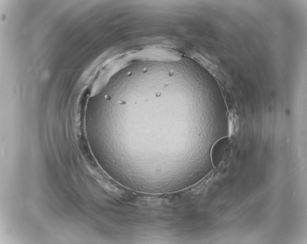 X0000087520339200705112012