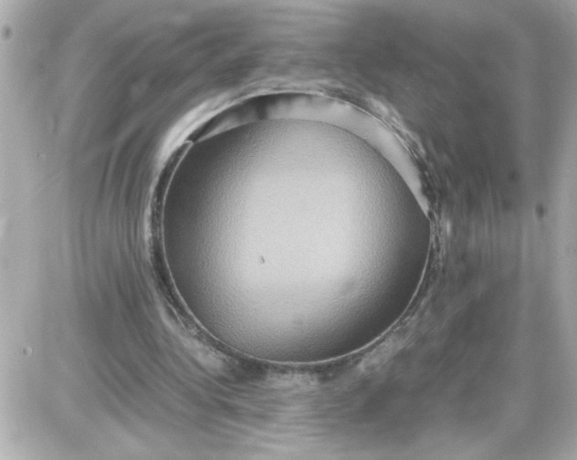 X0000087520340200705112012